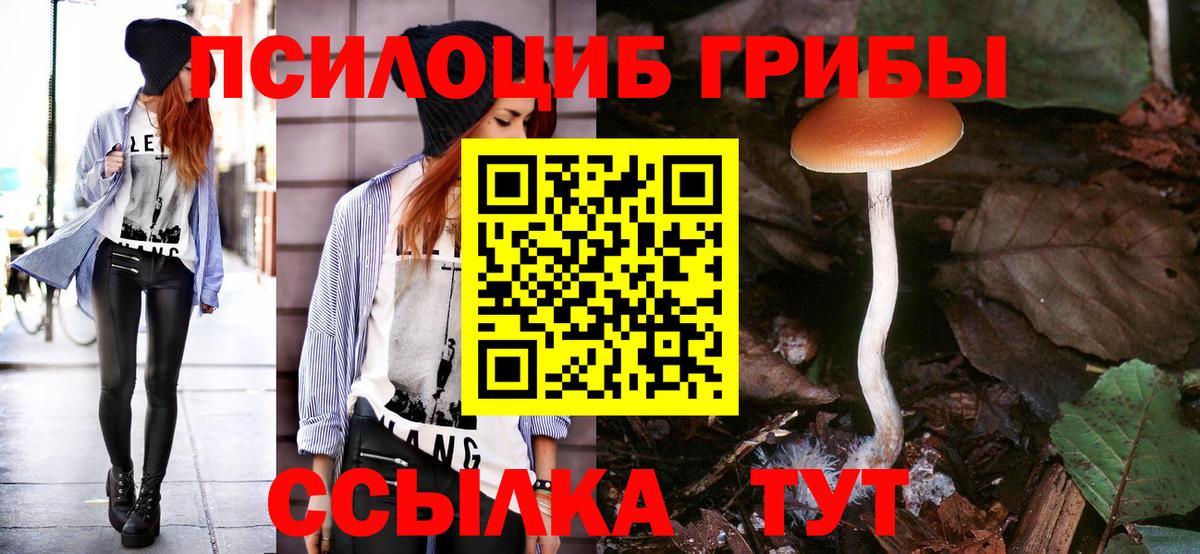 Псилоцибиновые грибы GOLDEN TEACHER  Псилоцибиновые грибы прущие грибы  Вход с VPN  Шахты 